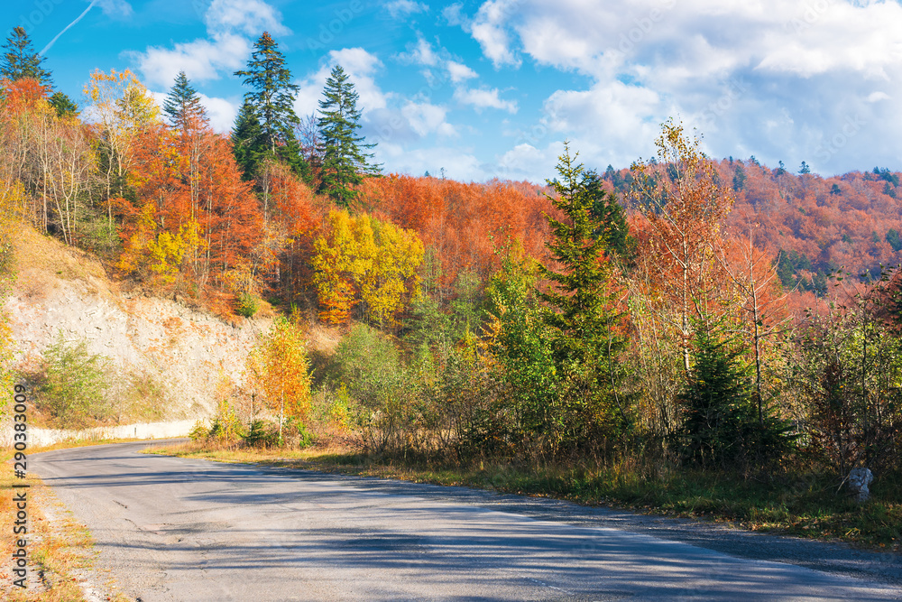 country road through forest in mountains. beautiful transportation autumn scenery in the morning. trees in colorful foliage. old cracked asphalt surface needs repair. clouds on the blue sky