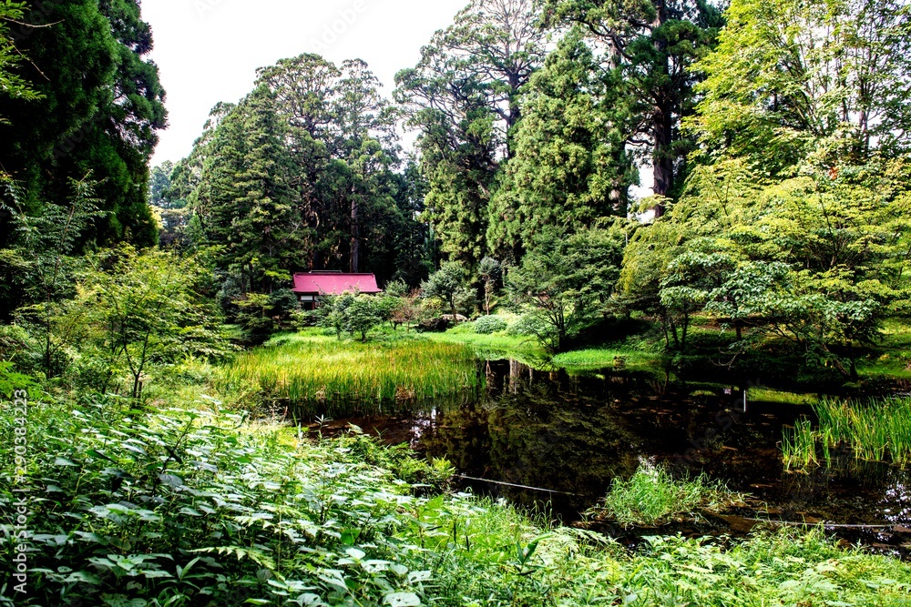 Fototapeta premium Park stodoły