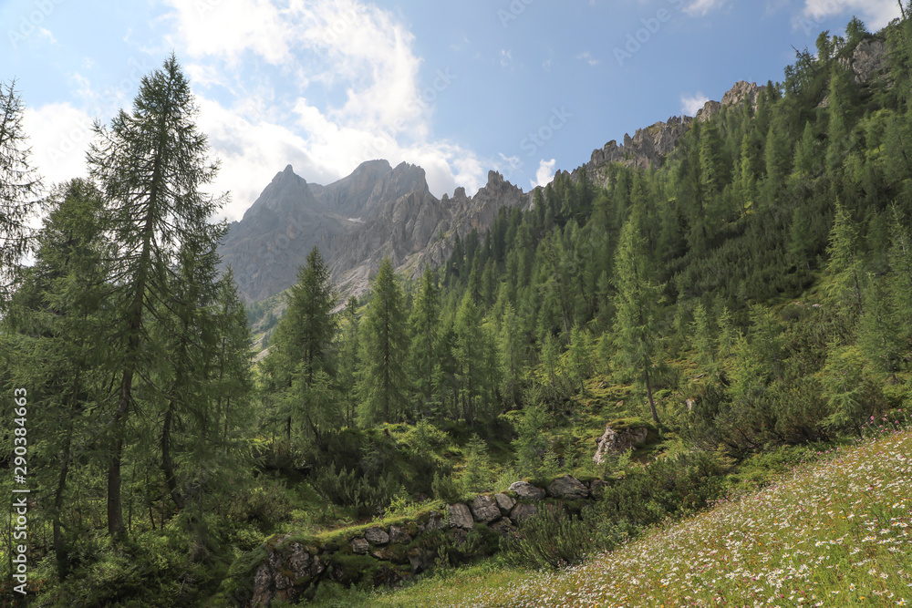 Fototapeta premium Waldberge
