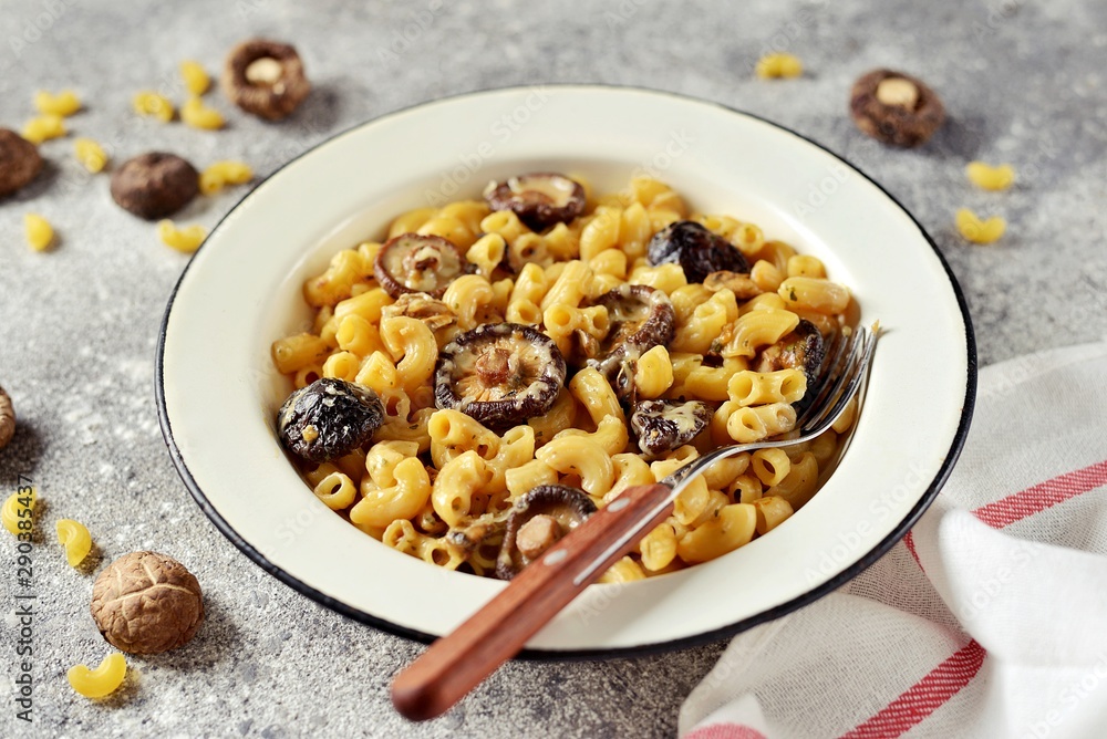 Homemade pasta with cheese and dried mushrooms. Mac and cheese with mushroom. Homemade pasta with cheese and dried mushrooms. Mac and cheese with mushroom.