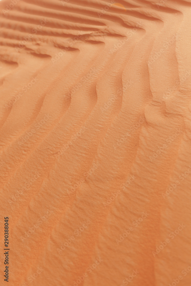Sand waves on a sand dune in Dubai. Sand Dunes of the Desert. Sand waves on a sand dune in Dubai. Sand Dunes of the Desert.
