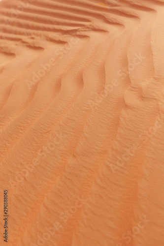 Sand waves on a sand dune in Dubai. Sand Dunes of the Desert. © alserikov