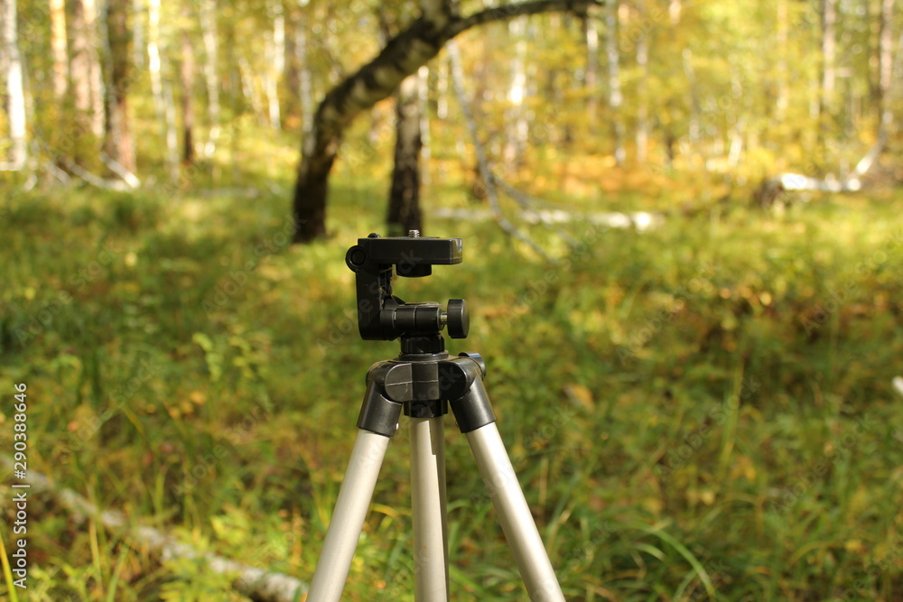 Tripod from camera close up in forest Tripod from camera close up in forest