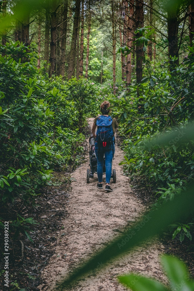 Obraz premium Taking a Stroll