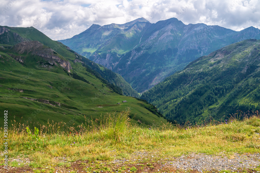 Naklejka premium Green meadow and mountainsides along Grossglockner High Alpine Road, Austria