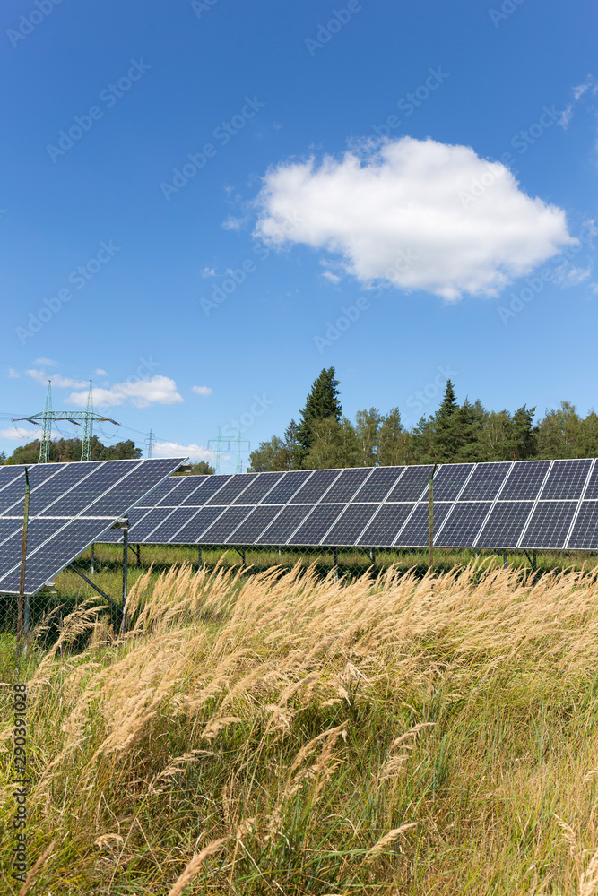 Solar Power Station in the summer Landscape Solar Power Station in the summer Landscape