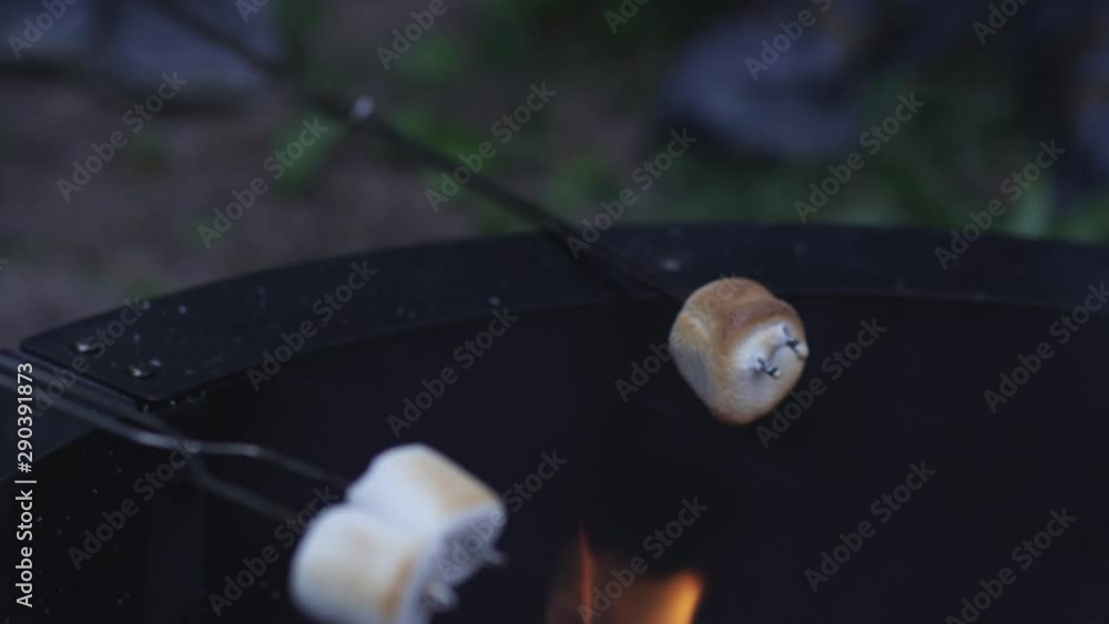 Roasting marshmallows over campfire Roasting marshmallows over campfire