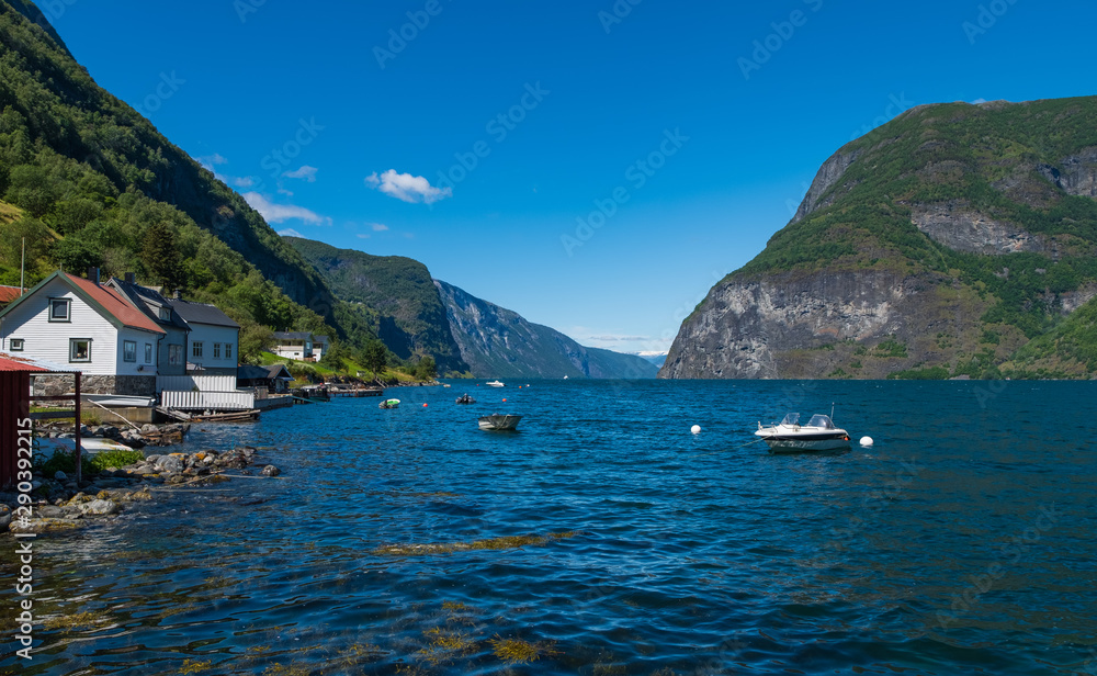 Fototapeta premium Wioska Undredal nad fiordem Aurland w Norwegii