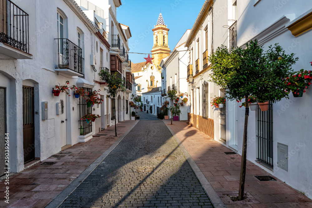Traditional Spanish street with beautiful white houses, flower pots and citrus trees