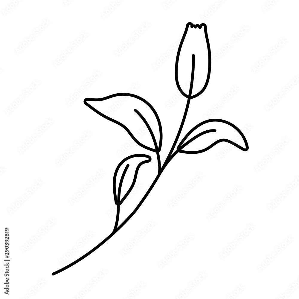 Obraz premium Isolated flower ornament design vector illustration