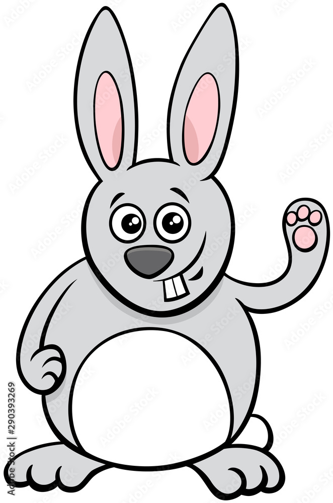 funny rabbit cartoon animal character