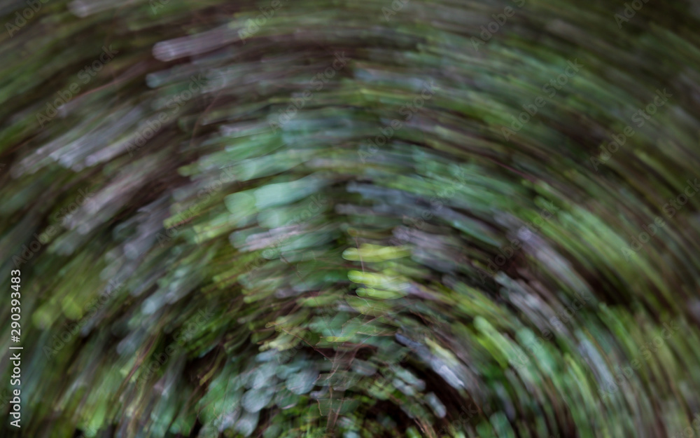 Texture of small leaves in circular motion Texture of small leaves in circular motion