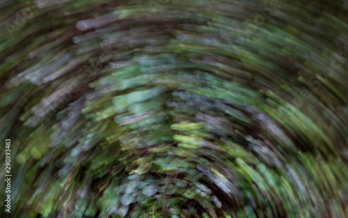 Texture of small leaves in circular motion