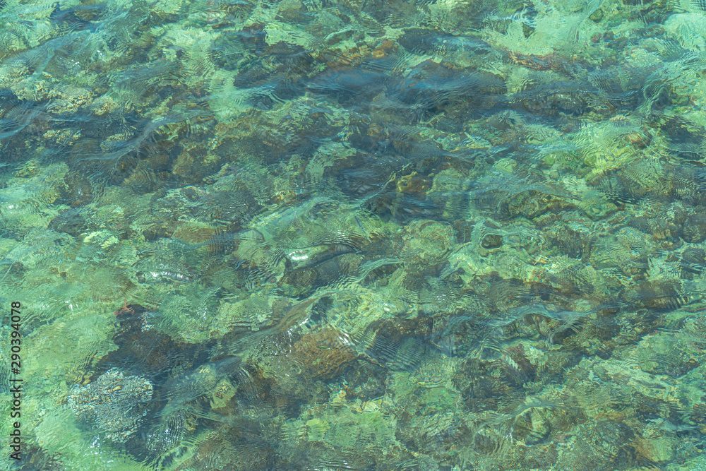 Clear water can see corals and fish in Samaesarn Beach Chonburi Thailand