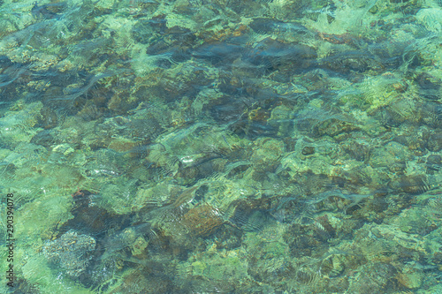 Clear water can see corals and fish in Samaesarn Beach Chonburi Thailand