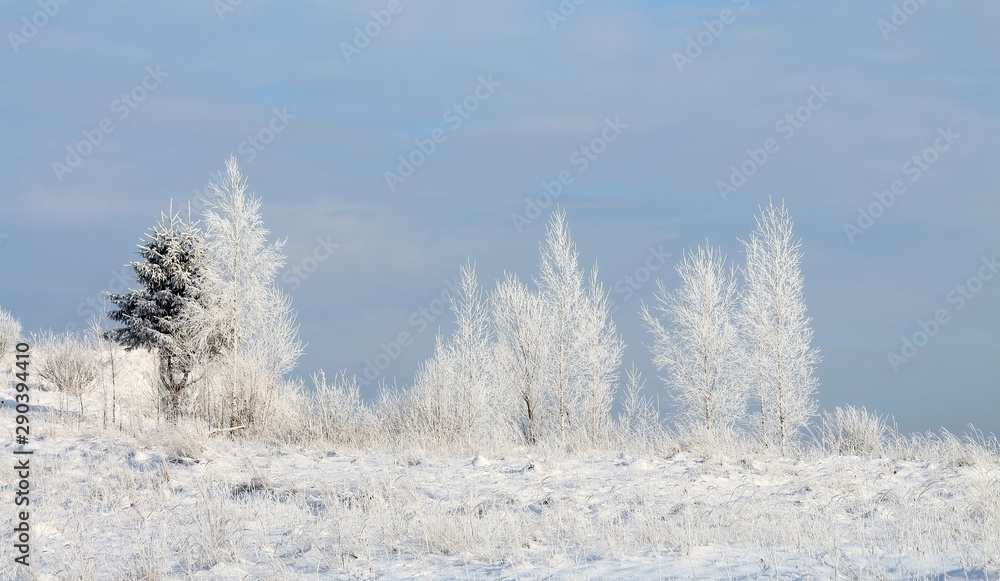 winter landscape with river and trees winter landscape with river and trees