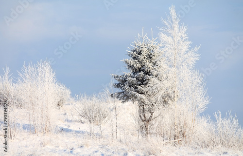 winter landscape with river and trees