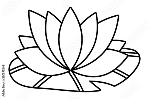 Isolated lotus flower ornament design
