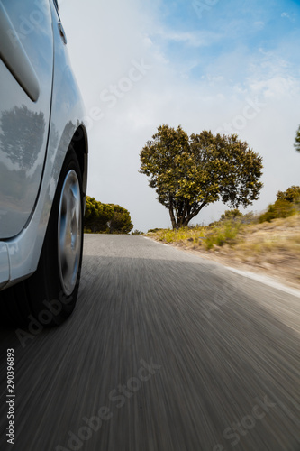 Car driving past tree in the South of France