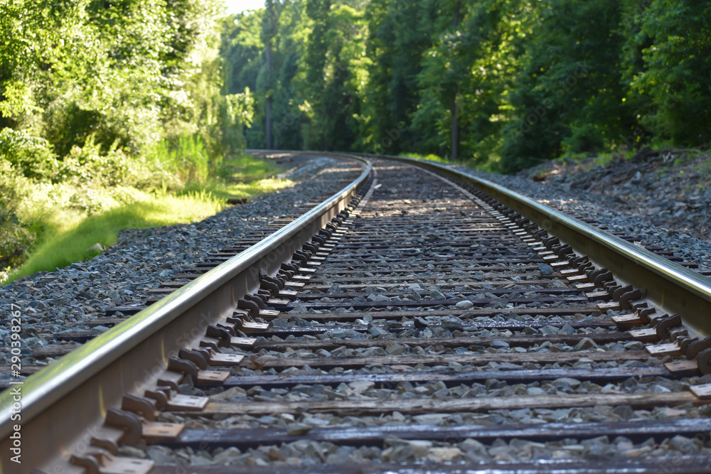 Fototapeta premium Train Tracks