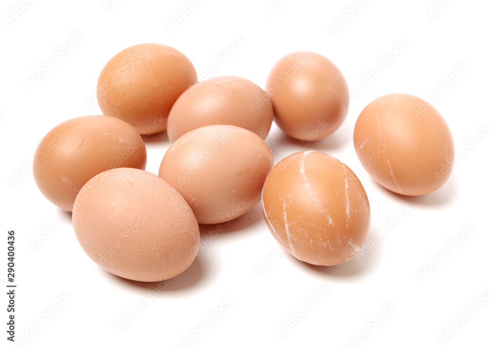 eggs on white background eggs on white background