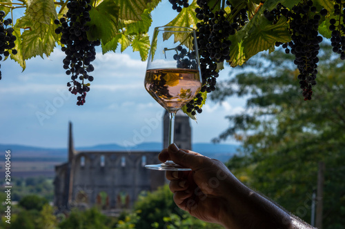 Tasting a glass of rose wine in Zsambek Hungar which is part of the Etyek Wine Region. In the background there is the old monastery church ruin.
