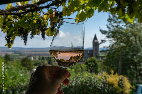 Tasting a glass of rose wine in Zsambek Hungar which is part of the Etyek Wine Region. In the background there is the old monastery church ruin.