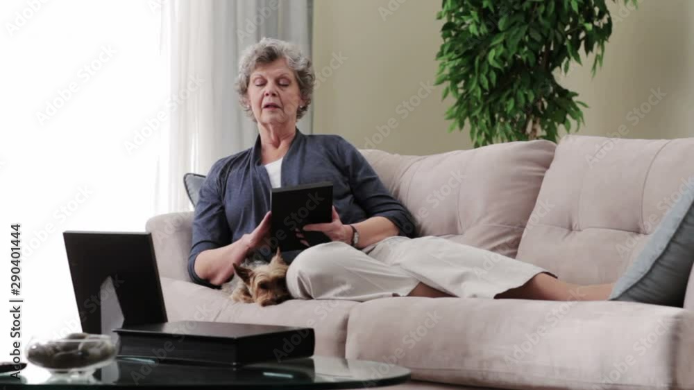 Older sad caucasian woman on sofa with dog holding photograph Older sad caucasian woman on sofa with dog holding photograph