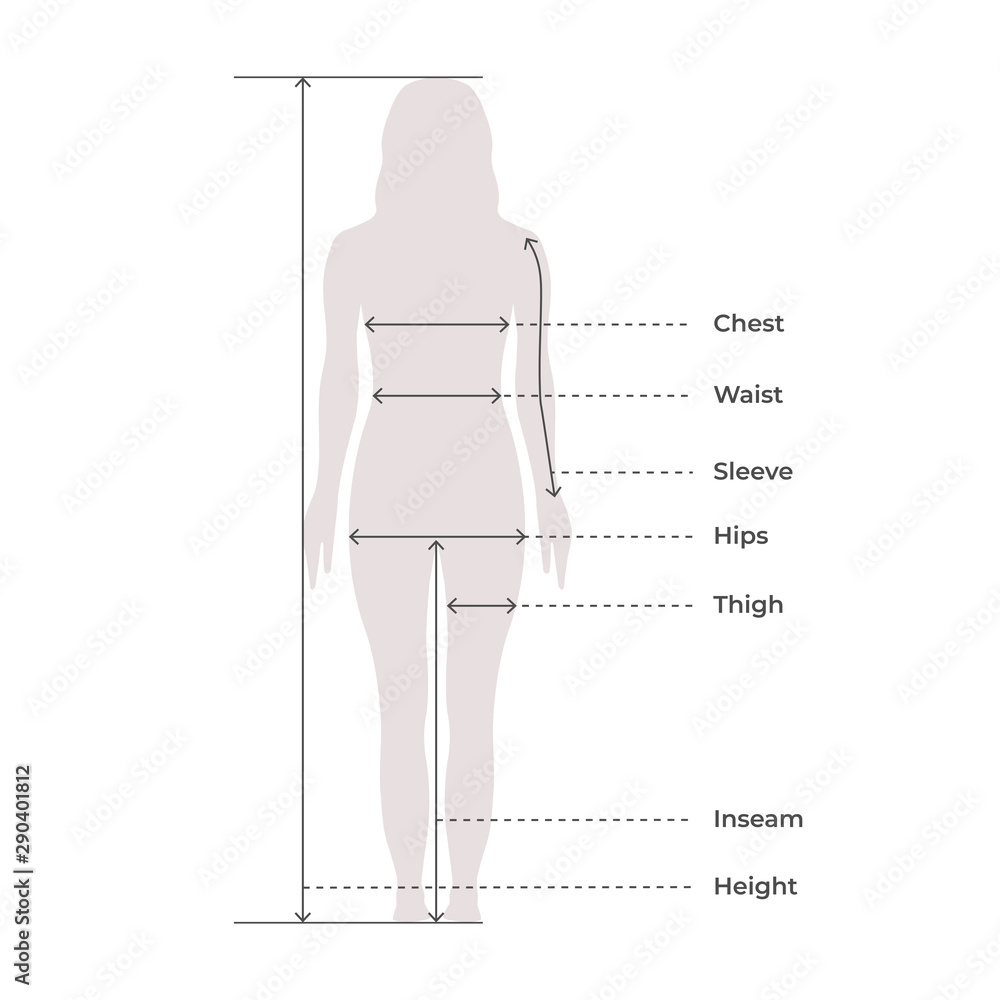 Woman Female Body Measurement Proportions for Clothing Design and Sewing  Chart for Fashion Vector illustration Stock Vector