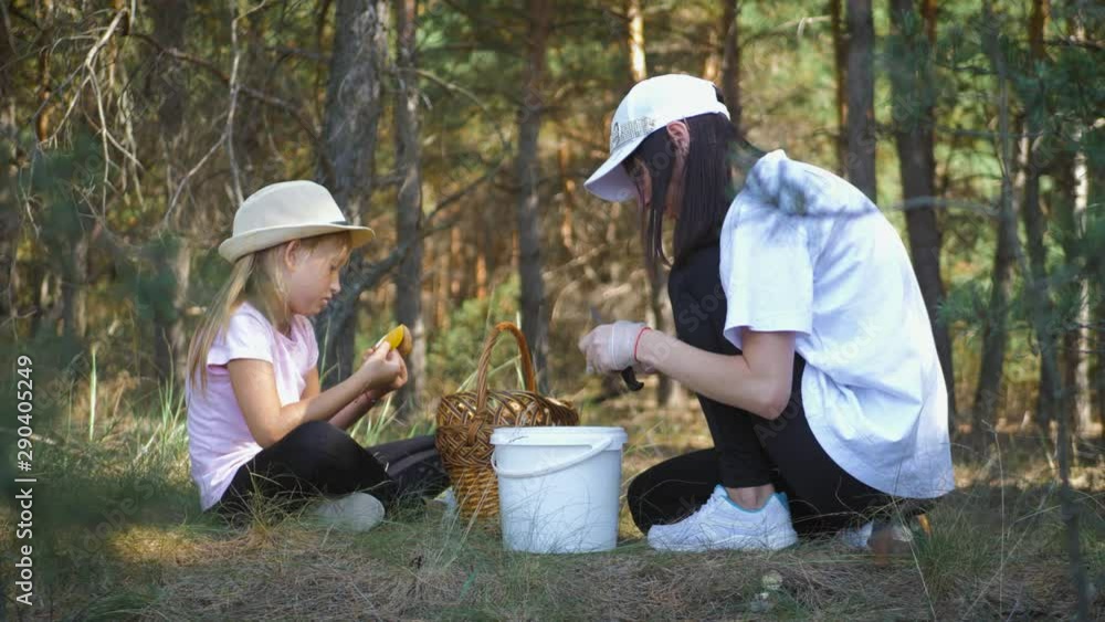 Mom and little daughter go on the road in the autumn forest. The family gather mushrooms and berries in the forest on a sunny day. Mother and daughter walking in the woods. Spending time outdoors. Mom and little daughter go on the road in the autumn forest. The family gather mushrooms and berries in the forest on a sunny day. Mother and daughter walking in the woods. Spending time outdoors.