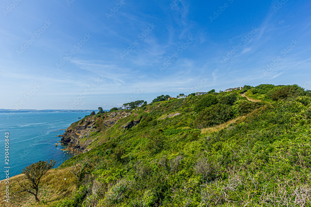 A seascape panorama from a hill with trees and a beautiful flat blue sea water under a majestic blue sky and some white clouds