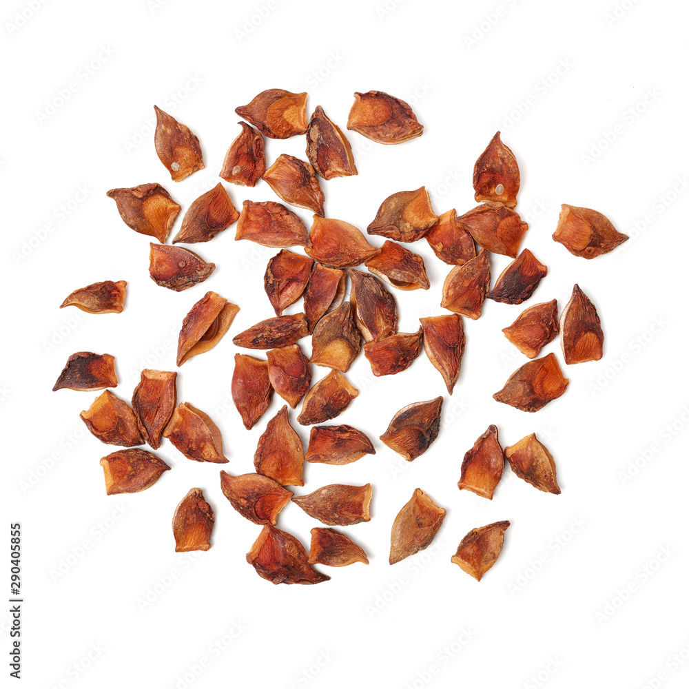 star anise on white background star anise on white background