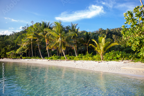 A beautiful beach is bathed by tranquil water amid the remote  tropical islands of Raja Ampat  Indonesia. This equatorial region is possibly the center for marine biodiversity.