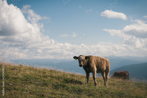 Hiking in the Low Tatra mountains in Slovakia  almost alone on the ridgeway  only majestic mountains