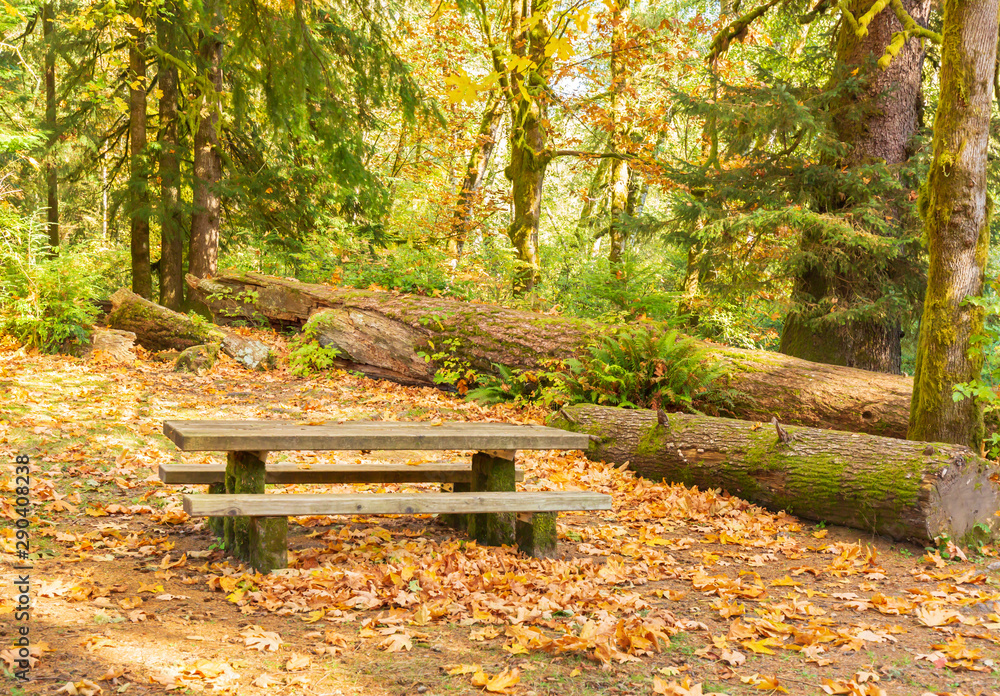 Picnic table in a park in the Autumn Picnic table in a park in the Autumn