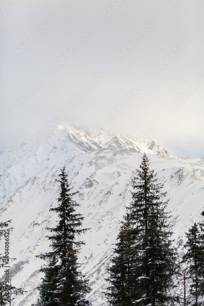 Obraz premium Alaskan winter view.