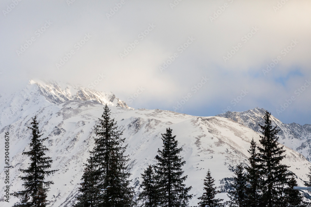Alaskan winter view.