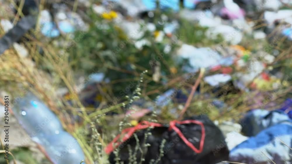 Hand throwing plastic container on landfill, irresponsible attitude to nature Hand throwing plastic container on landfill, irresponsible attitude to nature