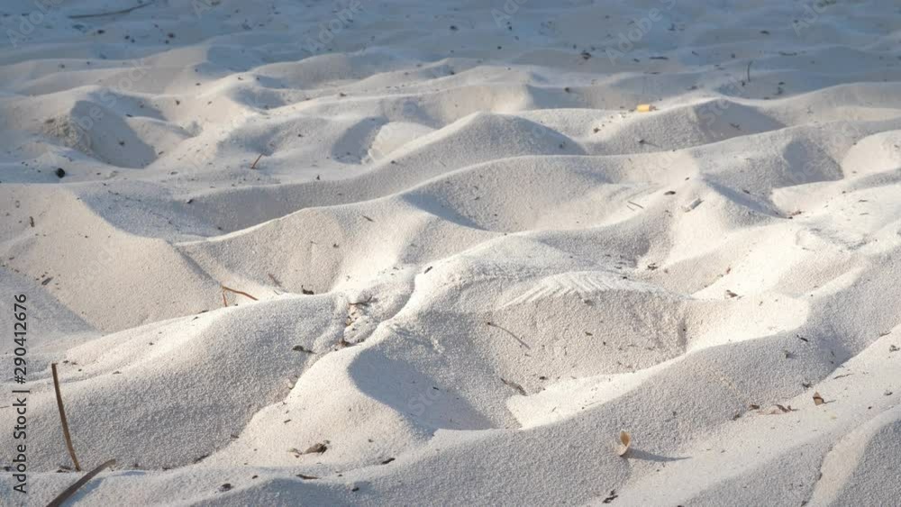 Christmas Santa Claus hat fall down on sand at the beach. Winter holidays. New Year celebration on caribbean island Christmas Santa Claus hat fall down on sand at the beach. Winter holidays. New Year celebration on caribbean island