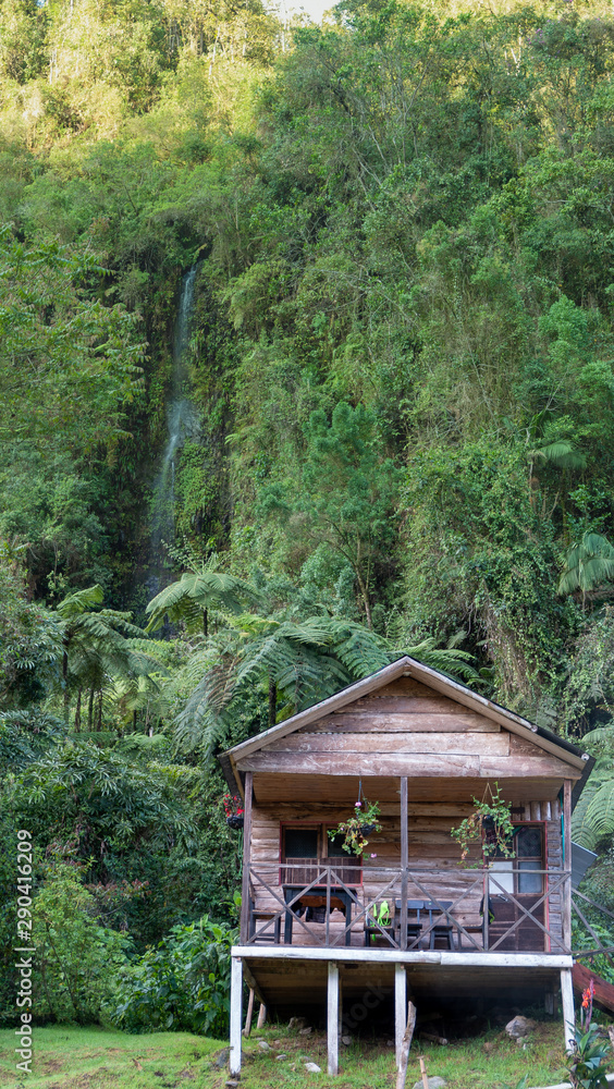 Cabaña de madera entre montañas  bosque verde