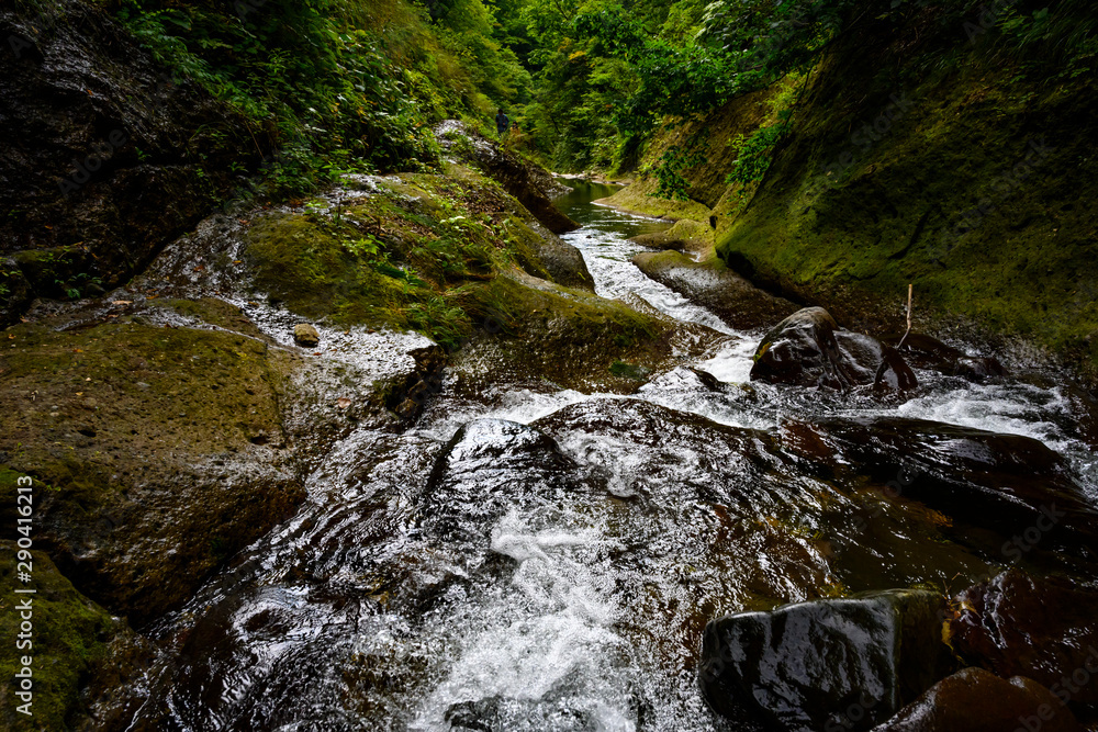 Fototapeta premium 面白山紅葉川渓谷
