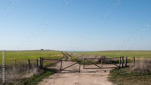 A farm gate to the meadow