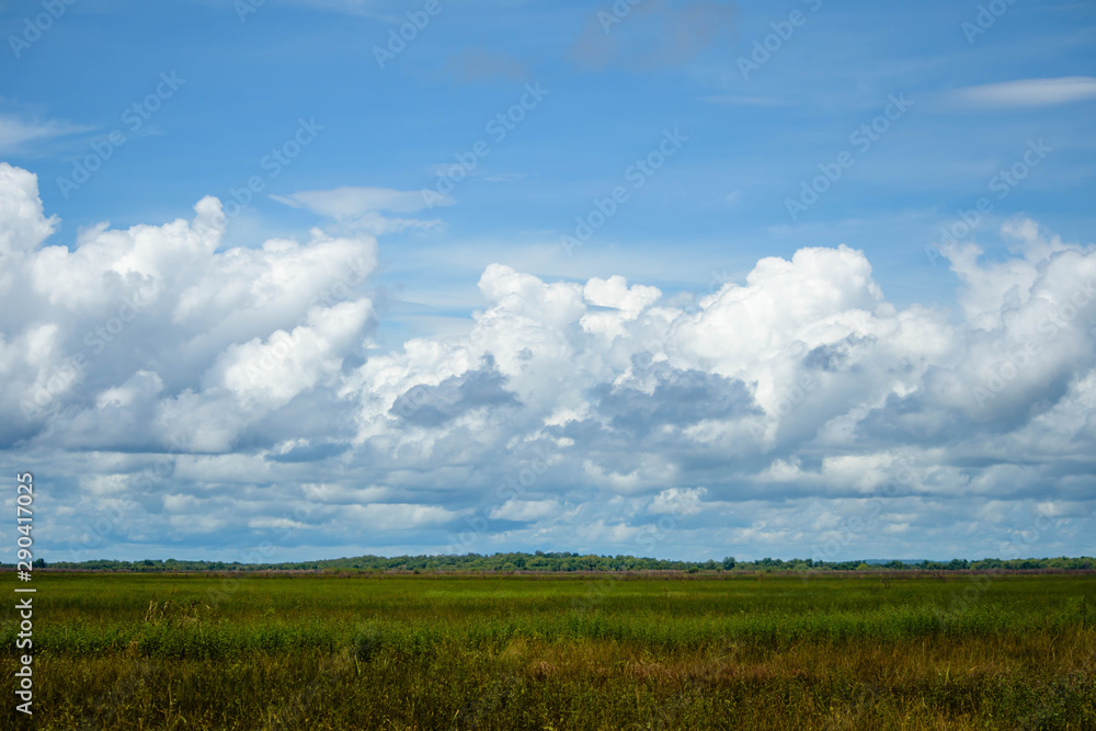 View across the wetlands with a cloudy sky View across the wetlands with a cloudy sky