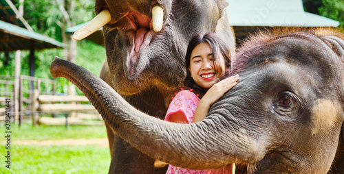 Billede på lærred female thai tourist having fun with baby and mother elephant at sanctuary in tha
