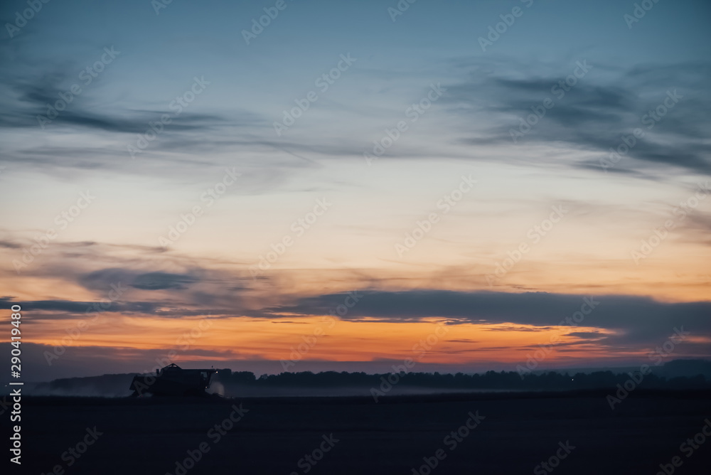 Silhouette of harvester machine to harvest wheat on sunset. Combine harvester driving on field on sunrise. Beautiful dawn sky above wheat field. Combine working in dusk. Wonderful twilight landscape.