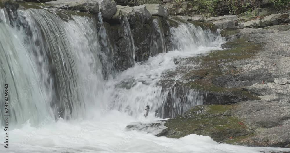 Waterfall, the Wissahickon Creek, Philadelphia, PA Waterfall, the Wissahickon Creek, Philadelphia, PA
