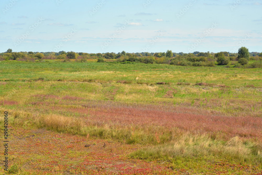 Rural landscape in Belarusian Polesie.