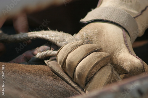 Bullrider hand in rope