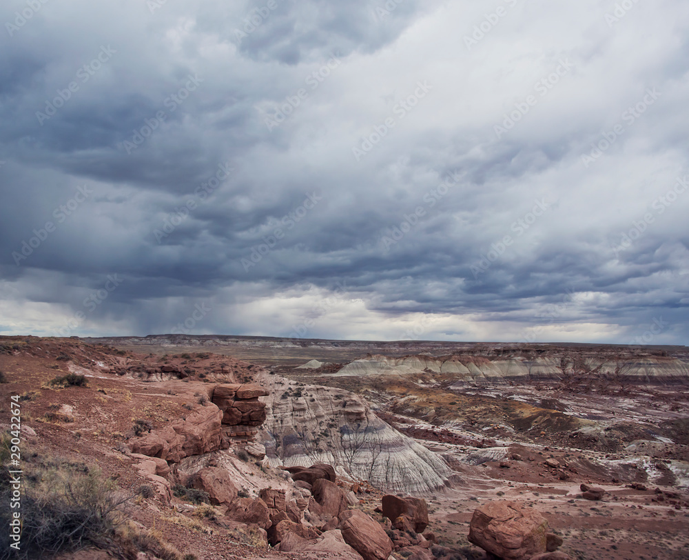 Petrified Forest National Park, Arizona, USA Petrified Forest National Park, Arizona, USA