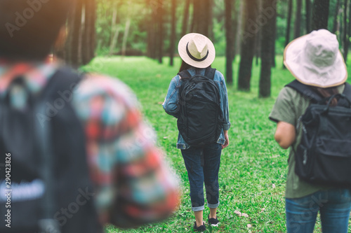 A group of travelers walking into a beautiful pine woods